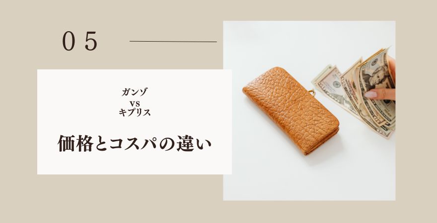 ガンゾとキプリスどっち?価格とコスパの違い