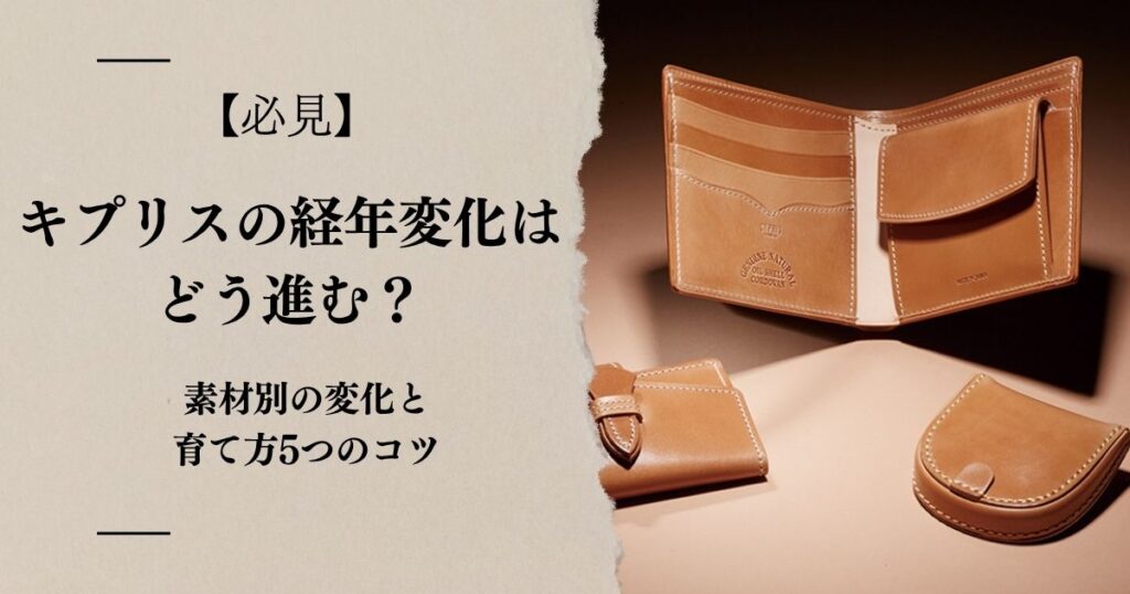 【必見】キプリスの経年変化はどう進む?素材別の変化と育て方5つのコツ